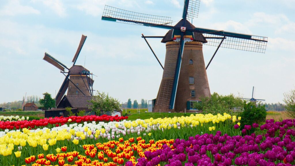 Irlanda ou Holanda