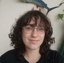 Alui Silvestri
